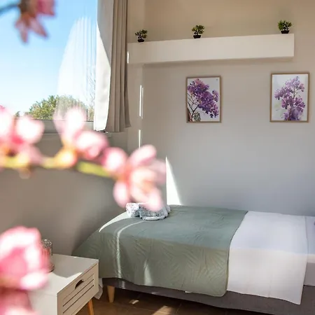 Casa Bonita Zante2 - 3bd With Country Vibes Zakynthos Town
